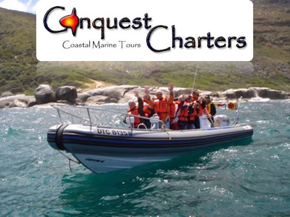 conquest1